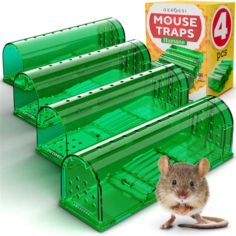 mouse metal box|best mouse traps for kids.